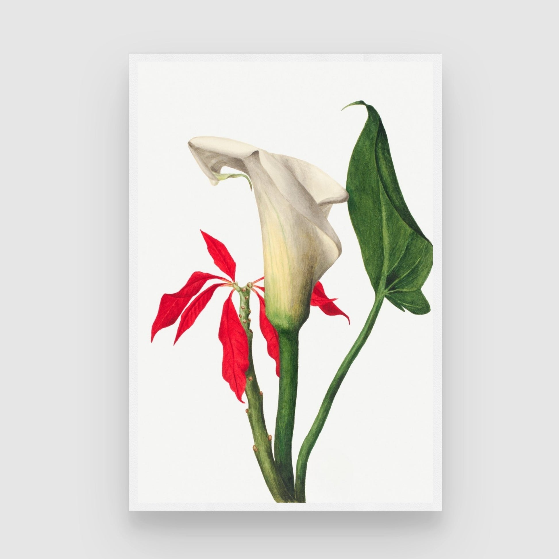 Ethereal Harmony – Botanical Wall Art Print 2 : 3 Vertical Premium Wall Art Canvas by MeriDeewar