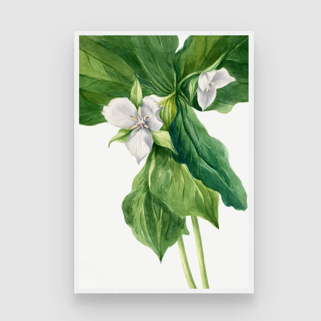 Ethereal Harmony – Green and White Botanical Wall Art Print 2 : 3 Vertical Premium Wall Art Canvas by MeriDeewar