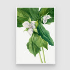 Ethereal Harmony – Green and White Botanical Wall Art Print 2 : 3 Vertical Premium Wall Art Canvas by MeriDeewar