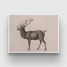 European Elk by Peter Rindisbacher 3 : 4 Horizontal New Premium Wall Art Canvas by MeriDeewar