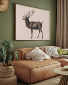European Elk by Peter Rindisbacher 3 : 4 Horizontal New Premium Wall Art Canvas by MeriDeewar