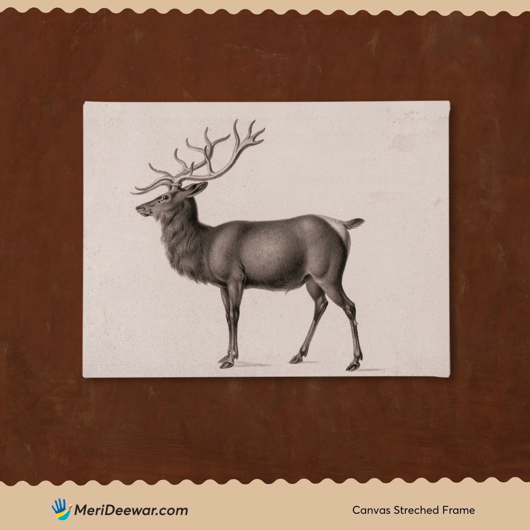 European Elk by Peter Rindisbacher 3 : 4 Horizontal New Premium Wall Art Canvas by MeriDeewar