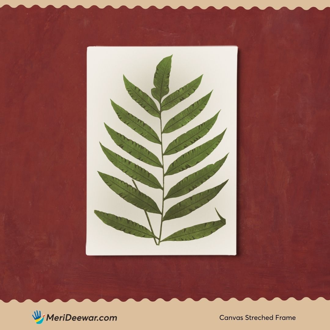 Fern Leaf Vintage Artwork 3 : 4 Vertical New Premium Wall Art Canvas by MeriDeewar