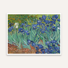 Floral Painting for Living Room – Van Gogh Irises Garden | Wall Art for Home Decor 4 : 3 Horizontal Premium Wall Art Canvas by MeriDeewar