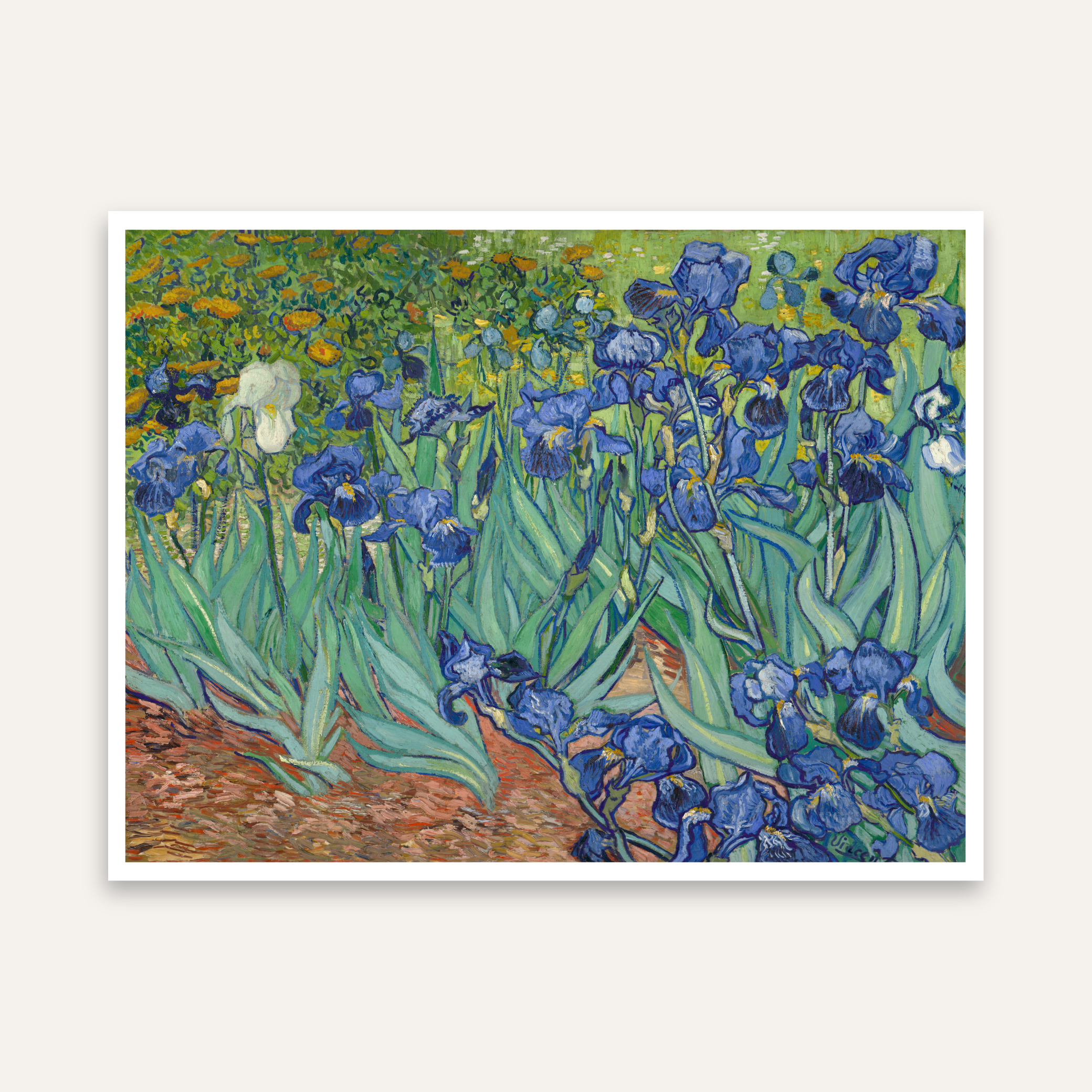 Floral Painting for Living Room – Van Gogh Irises Garden | Wall Art for Home Decor 4 : 3 Horizontal Premium Wall Art Canvas by MeriDeewar