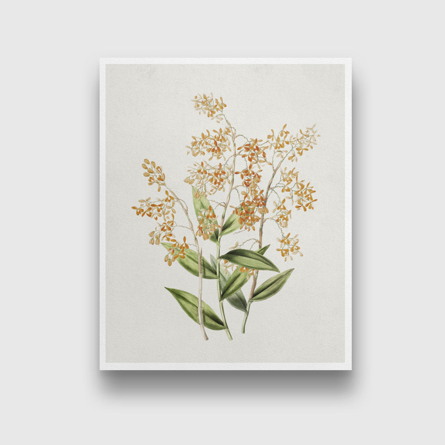 Flower vintage poster 3 : 4 Vertical New Premium Wall Art Canvas by MeriDeewar