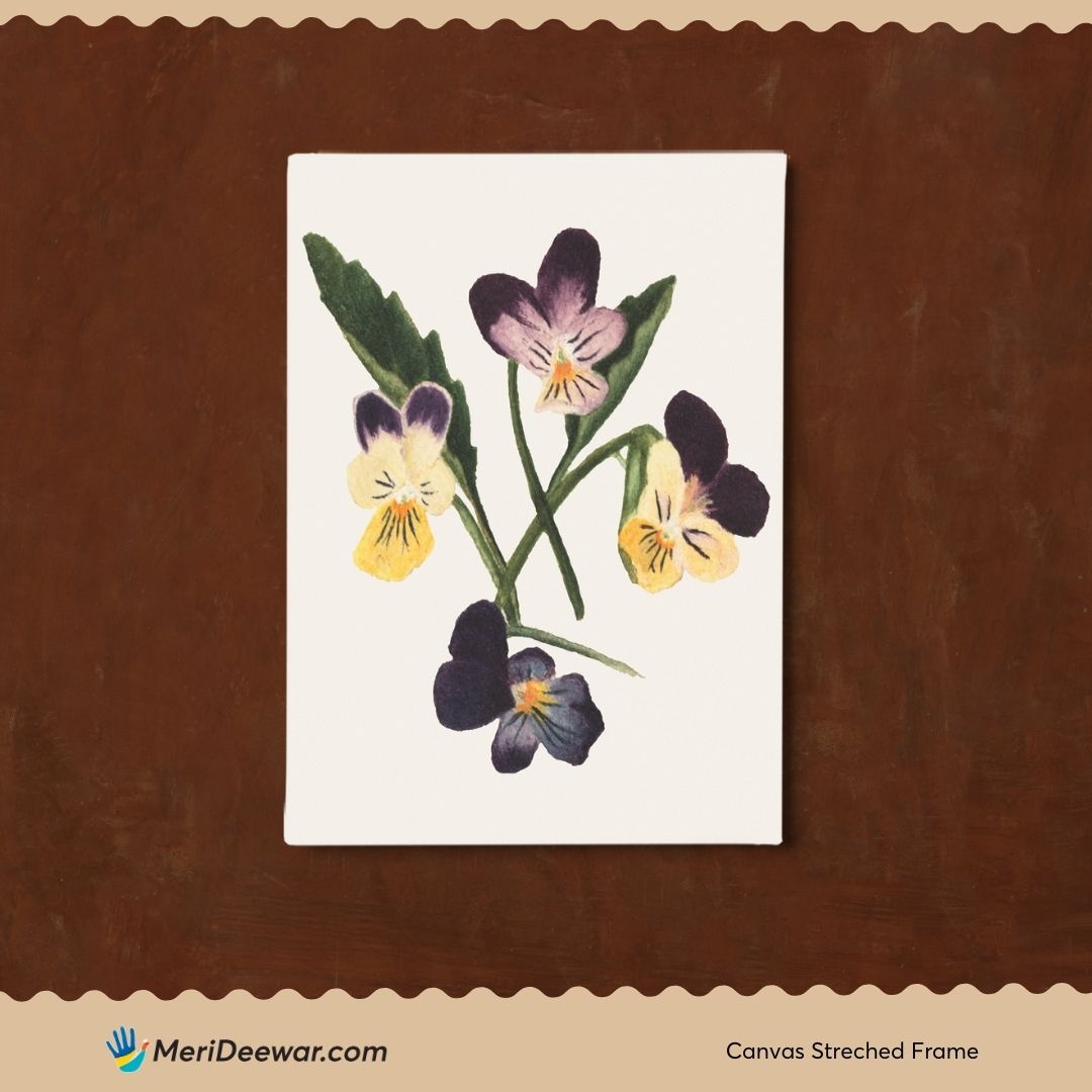 Four Purple Flowers/ Untitled Pansies by Mary Vaux Walcott 3 : 4 Vertical New Premium Wall Art Canvas by MeriDeewar
