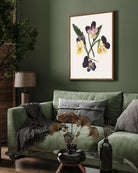 Four Purple Flowers/ Untitled Pansies by Mary Vaux Walcott 3 : 4 Vertical New Premium Wall Art Canvas by MeriDeewar