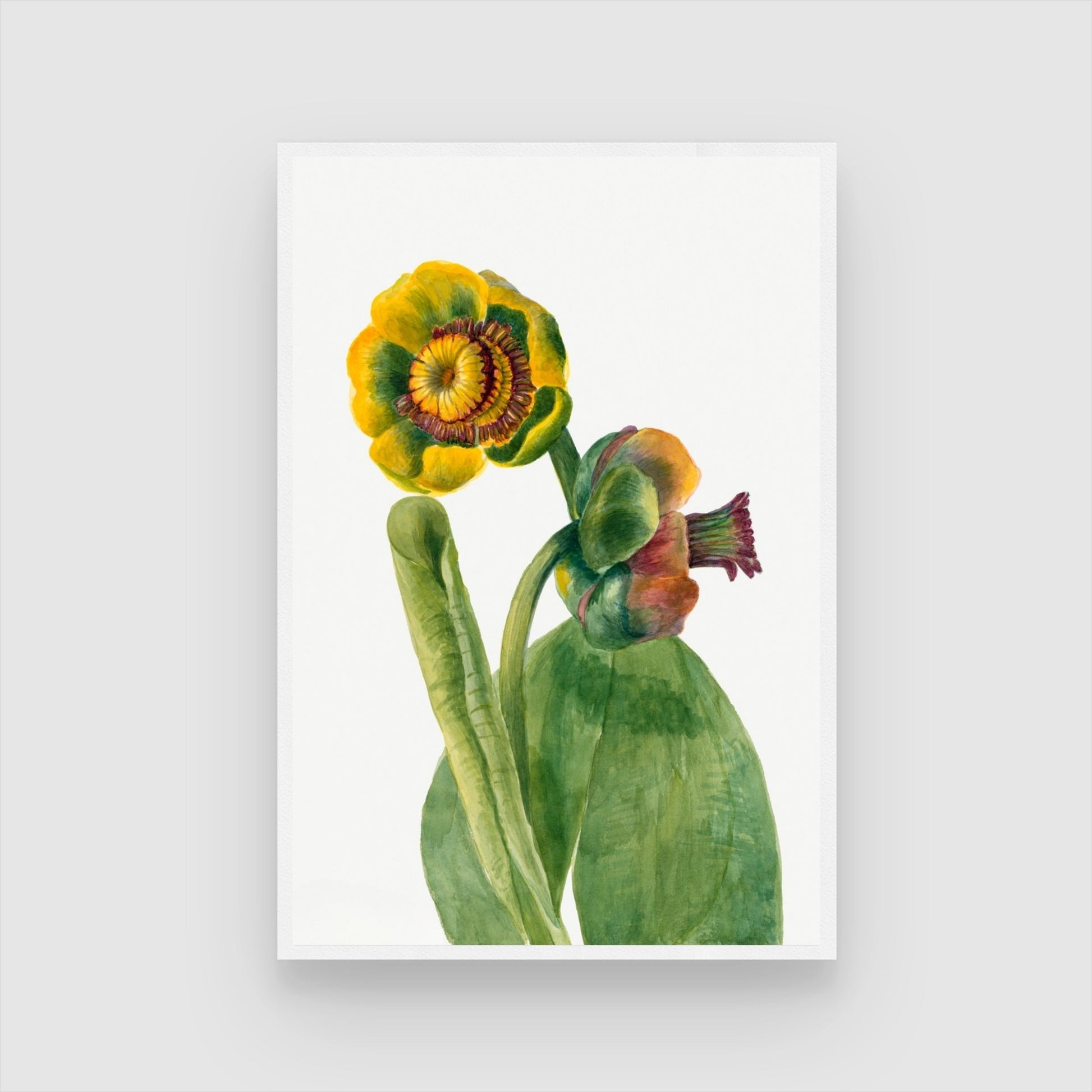 Golden Bloom – Botanical Flower Canvas Art Print 2 : 3 Vertical Premium Wall Art Canvas by MeriDeewar