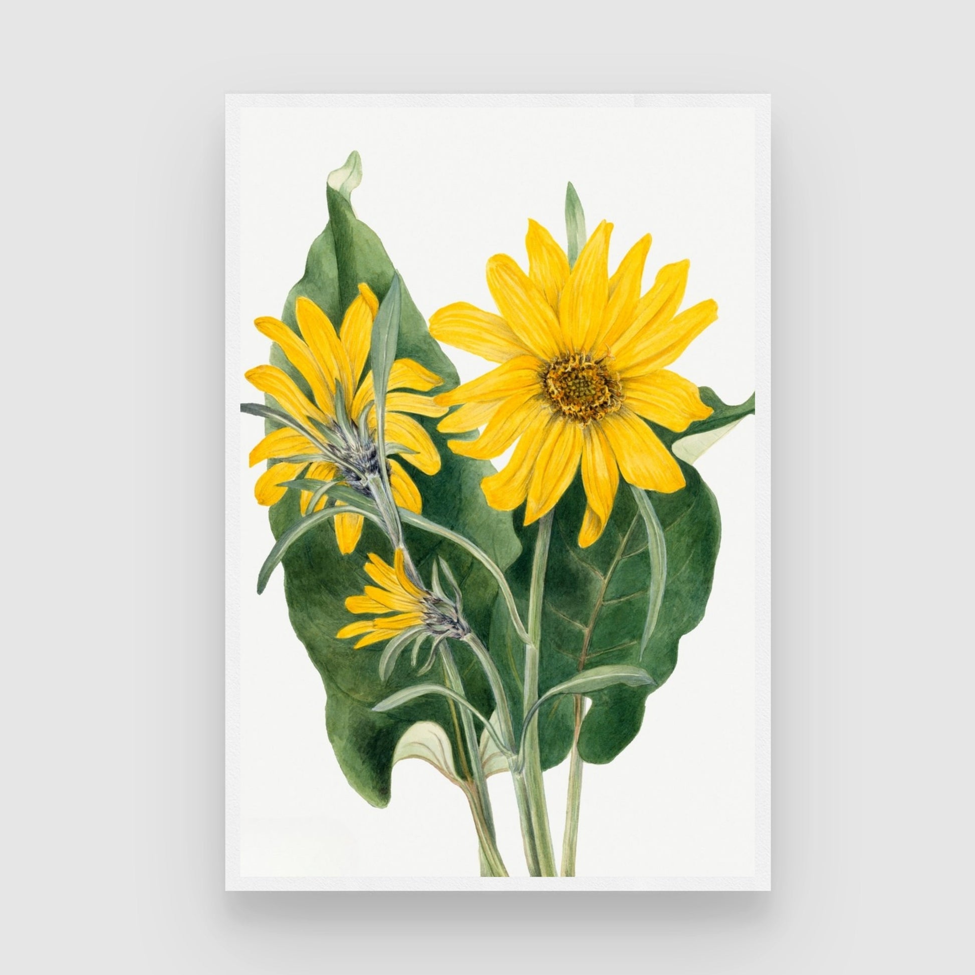 Golden Bloom – Bright Botanical Wall Art Print 2 : 3 Vertical Premium Wall Art Canvas by MeriDeewar