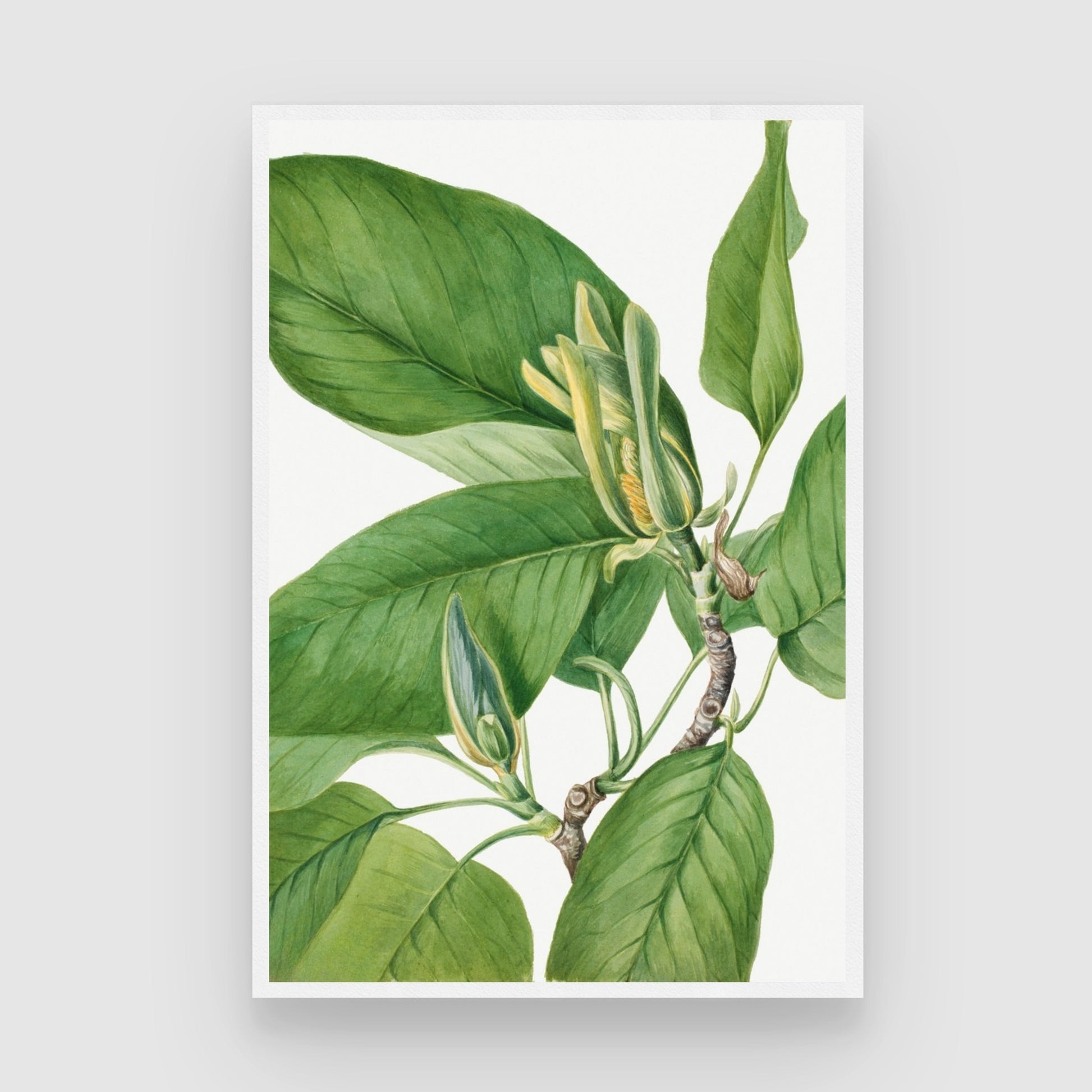 Golden Sprout – Botanical Leaf & Bud Wall Art Print 2 : 3 Vertical Premium Wall Art Canvas by MeriDeewar