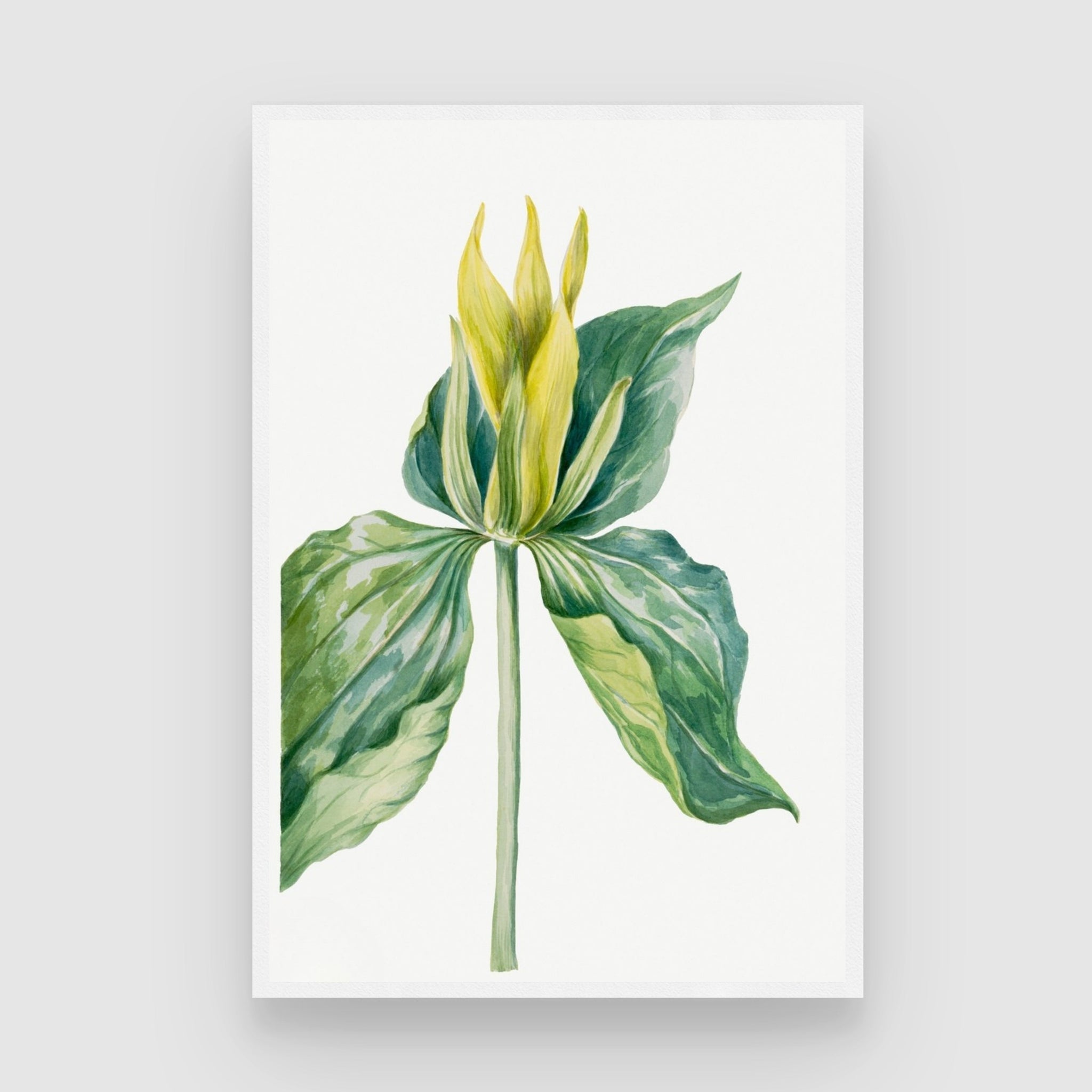 Golden Sprout – Green and Yellow Botanical Wall Art Print 2 : 3 Vertical Premium Wall Art Canvas by MeriDeewar