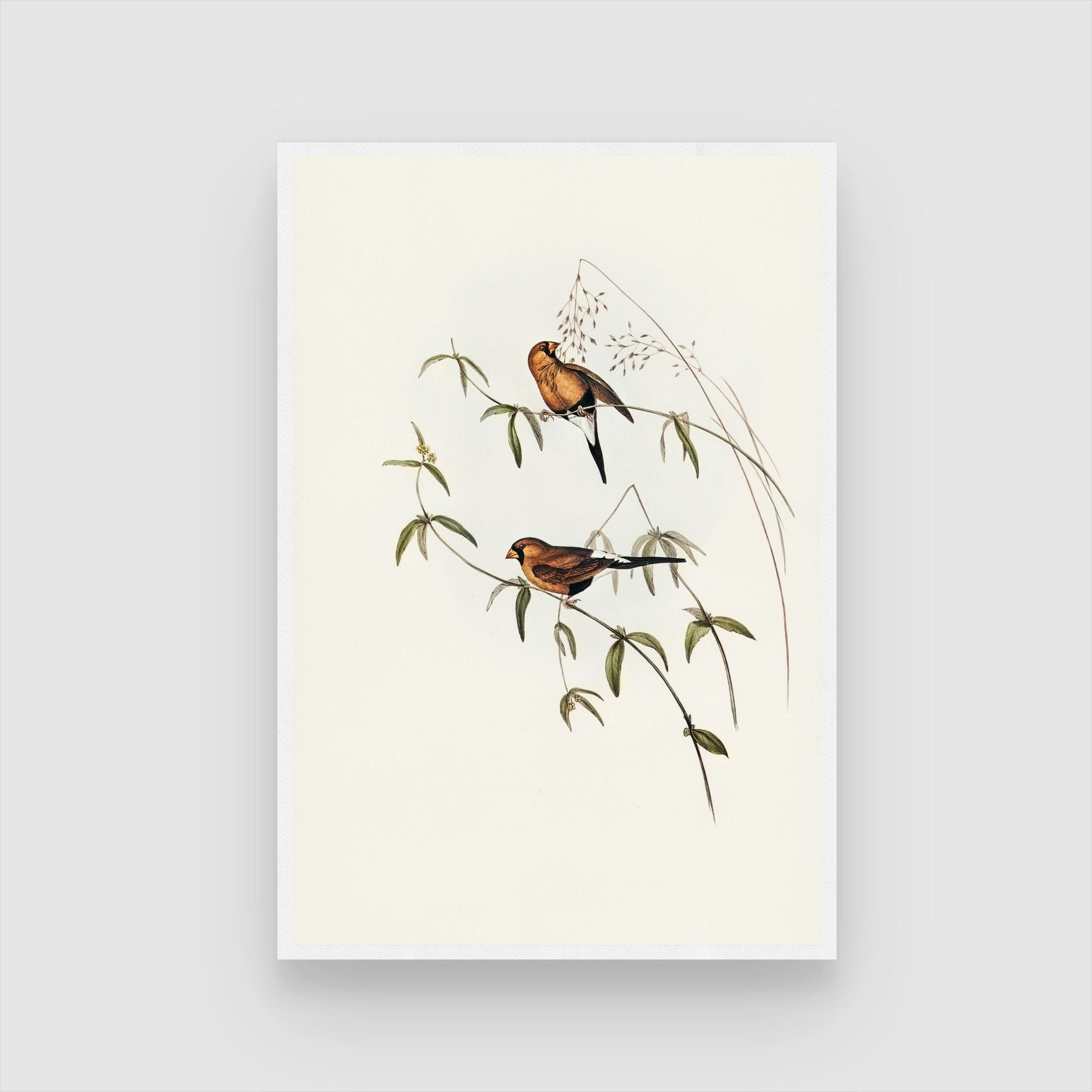 Graceful Bird Artwork: Perfect Wall Décor - MeriDeewar.com 2 : 3 Vertical Premium Wall Art Canvas by MeriDeewar