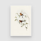 Graceful Bird Artwork: Perfect Wall Décor - MeriDeewar.com 2 : 3 Vertical Premium Wall Art Canvas by MeriDeewar