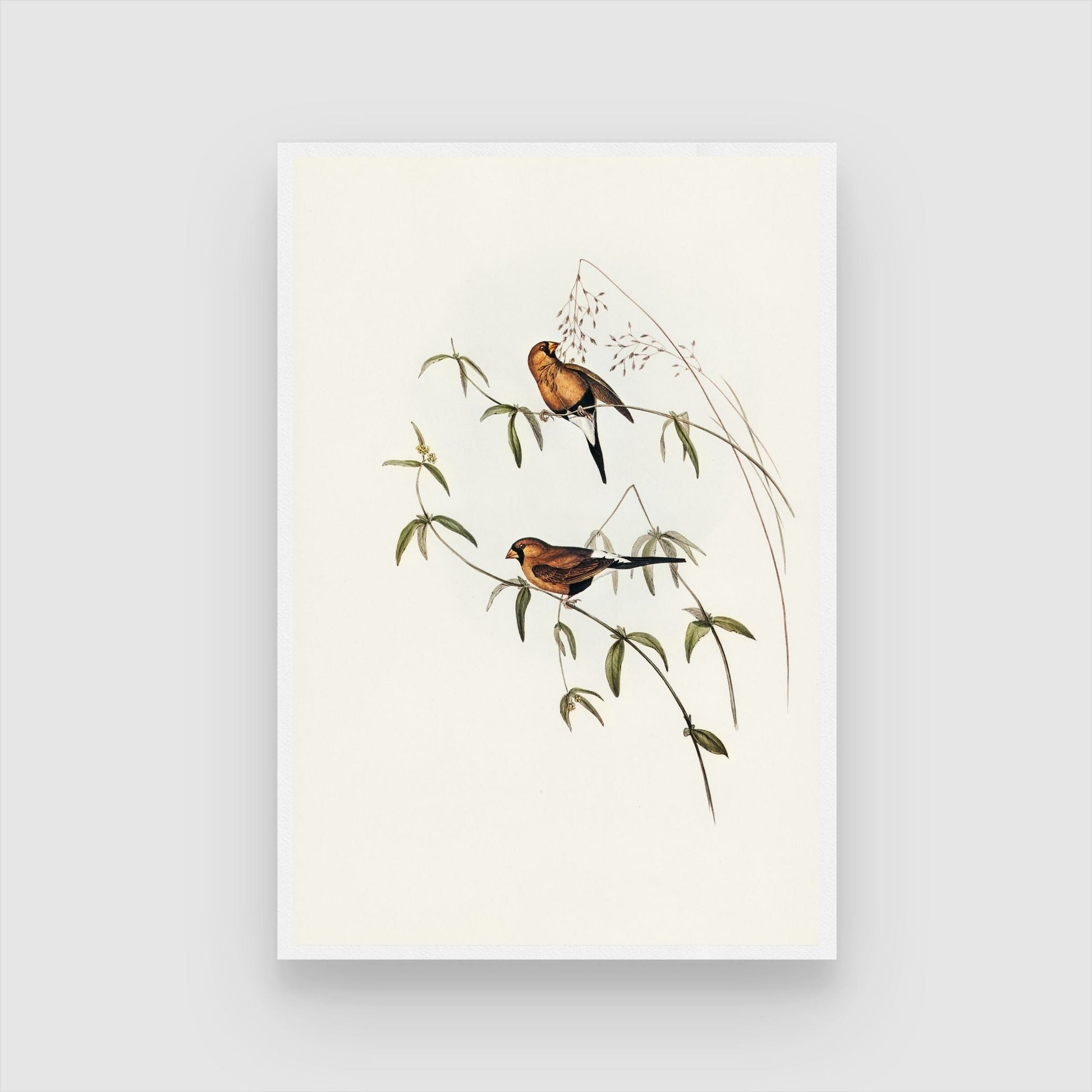 Graceful Bird Artwork: Perfect Wall Décor - MeriDeewar.com 2 : 3 Vertical Premium Wall Art Canvas by MeriDeewar