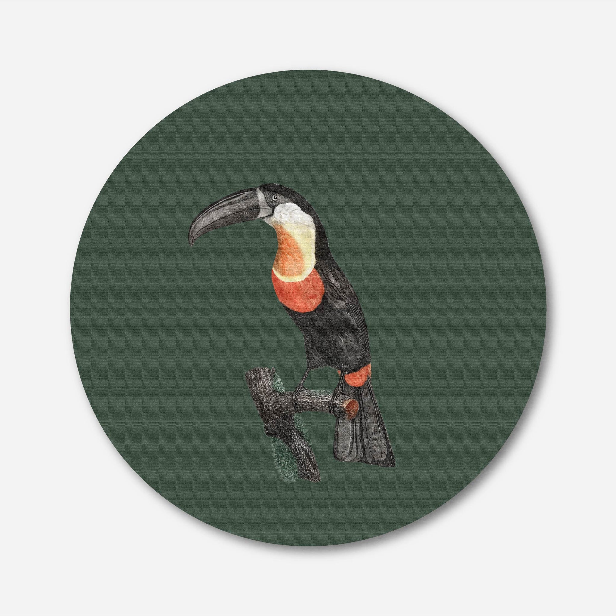 Green-billed Toucan Circular Canvas Frame Circular Canvas Frame Premium Wall Art Canvas by MeriDeewar