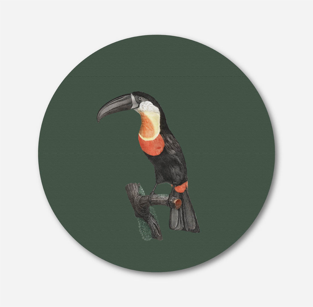 Green-billed Toucan Circular Canvas Frame Circular Canvas Frame Premium Wall Art Canvas by MeriDeewar