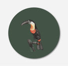 Green-billed Toucan Circular Canvas Frame Circular Canvas Frame Premium Wall Art Canvas by MeriDeewar