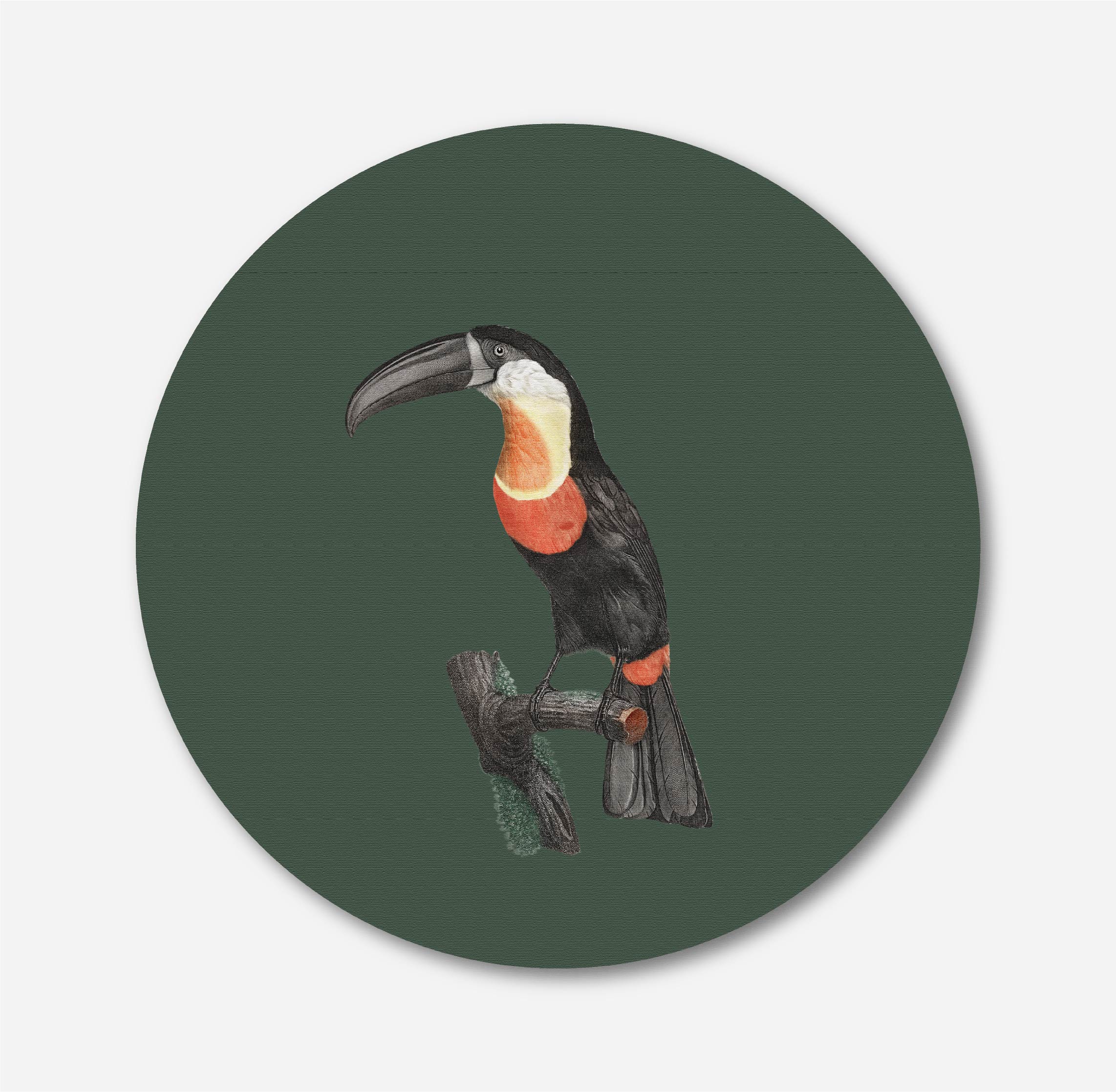 Green-billed Toucan Circular Canvas Frame Circular Canvas Frame Premium Wall Art Canvas by MeriDeewar