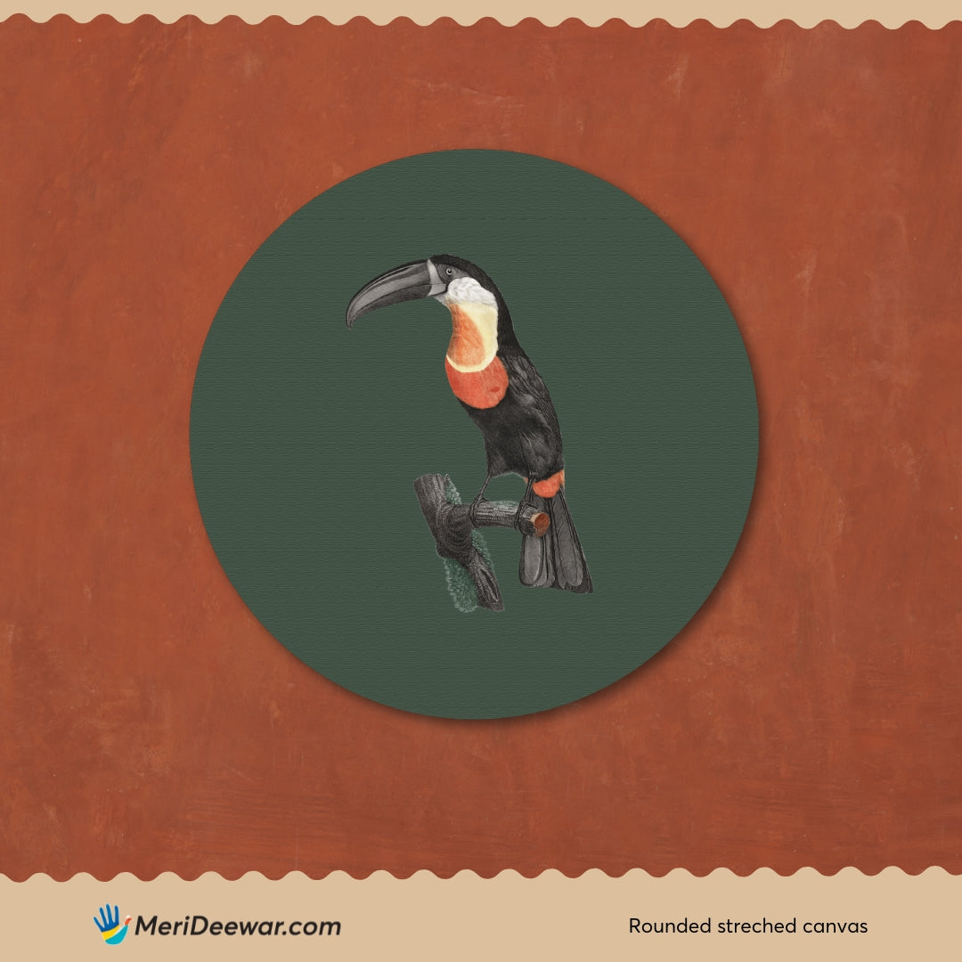 Green-billed Toucan Circular Canvas Frame Circular Canvas Frame Premium Wall Art Canvas by MeriDeewar
