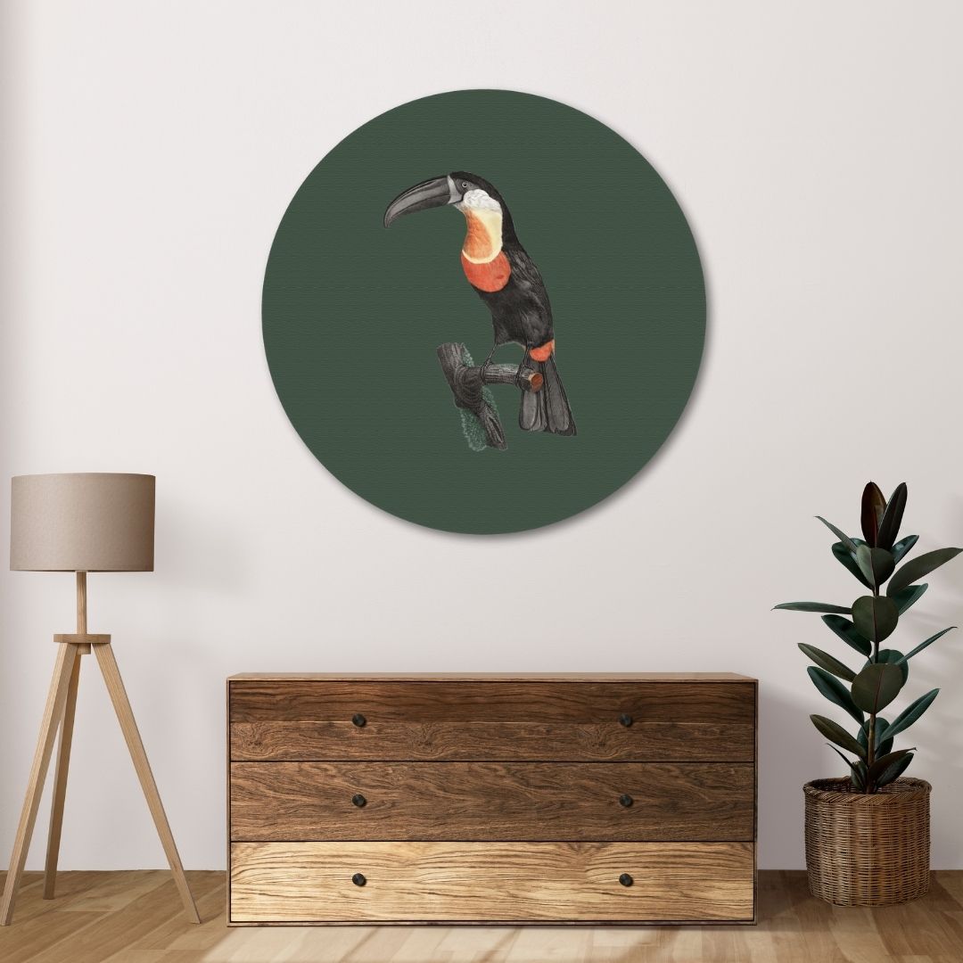 Green-billed Toucan Circular Canvas Frame Circular Canvas Frame Premium Wall Art Canvas by MeriDeewar