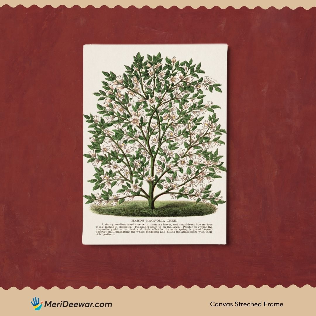 Hardy Magnolia tree Botany Plant Livingroom Art 3 : 4 Vertical New Premium Wall Art Canvas by MeriDeewar