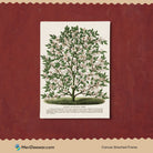 Hardy Magnolia tree Botany Plant Livingroom Art 3 : 4 Vertical New Premium Wall Art Canvas by MeriDeewar