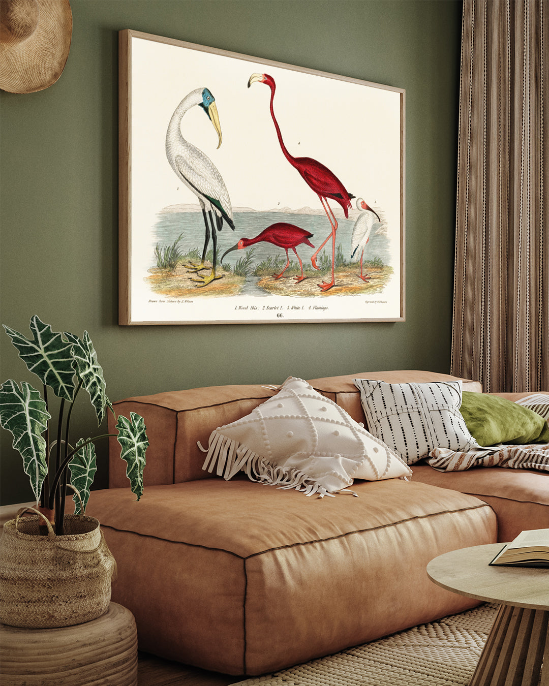 Ibis and Scarlet Flamingo Painting 3 : 4 Horizontal New Premium Wall Art Canvas by MeriDeewar