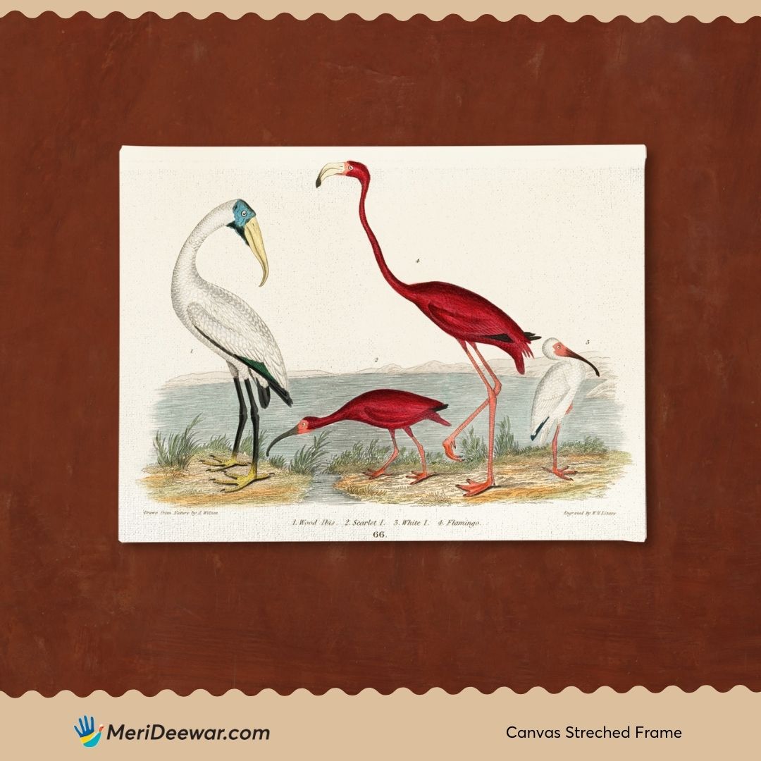 Ibis and Scarlet Flamingo Painting 3 : 4 Horizontal New Premium Wall Art Canvas by MeriDeewar
