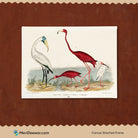 Ibis and Scarlet Flamingo Painting 3 : 4 Horizontal New Premium Wall Art Canvas by MeriDeewar