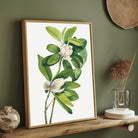 Ivory Bloom – Elegant White Botanical Wall Art Print 2 : 3 Vertical Premium Wall Art Canvas by MeriDeewar