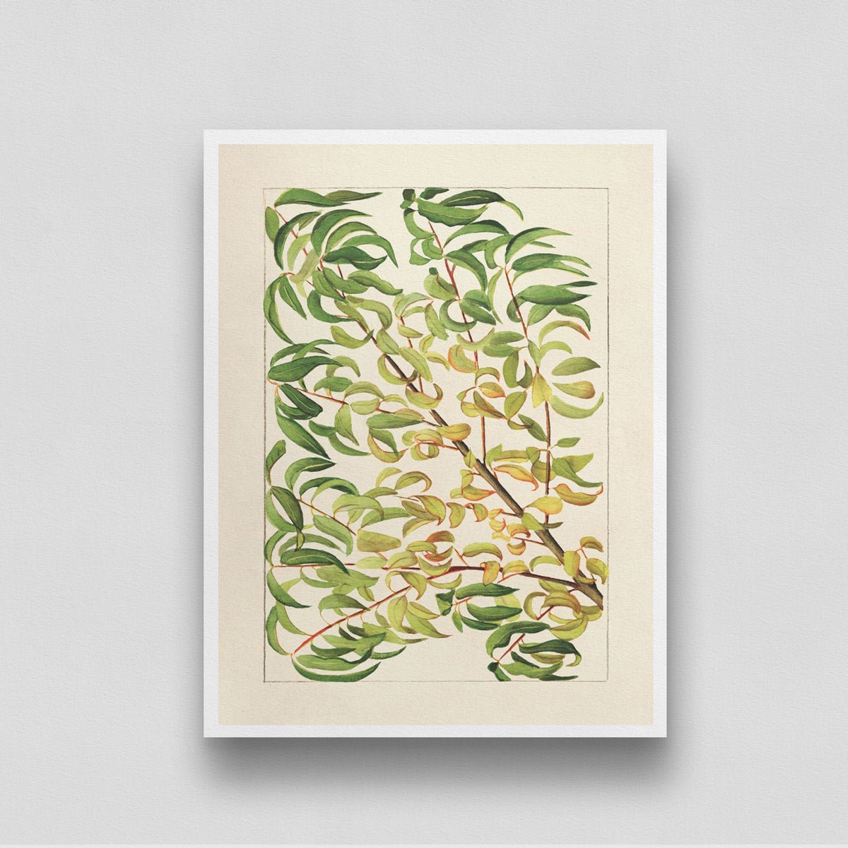 Ivy Branch of Peach Artwork 3 : 4 Vertical New Premium Wall Art Canvas by MeriDeewar