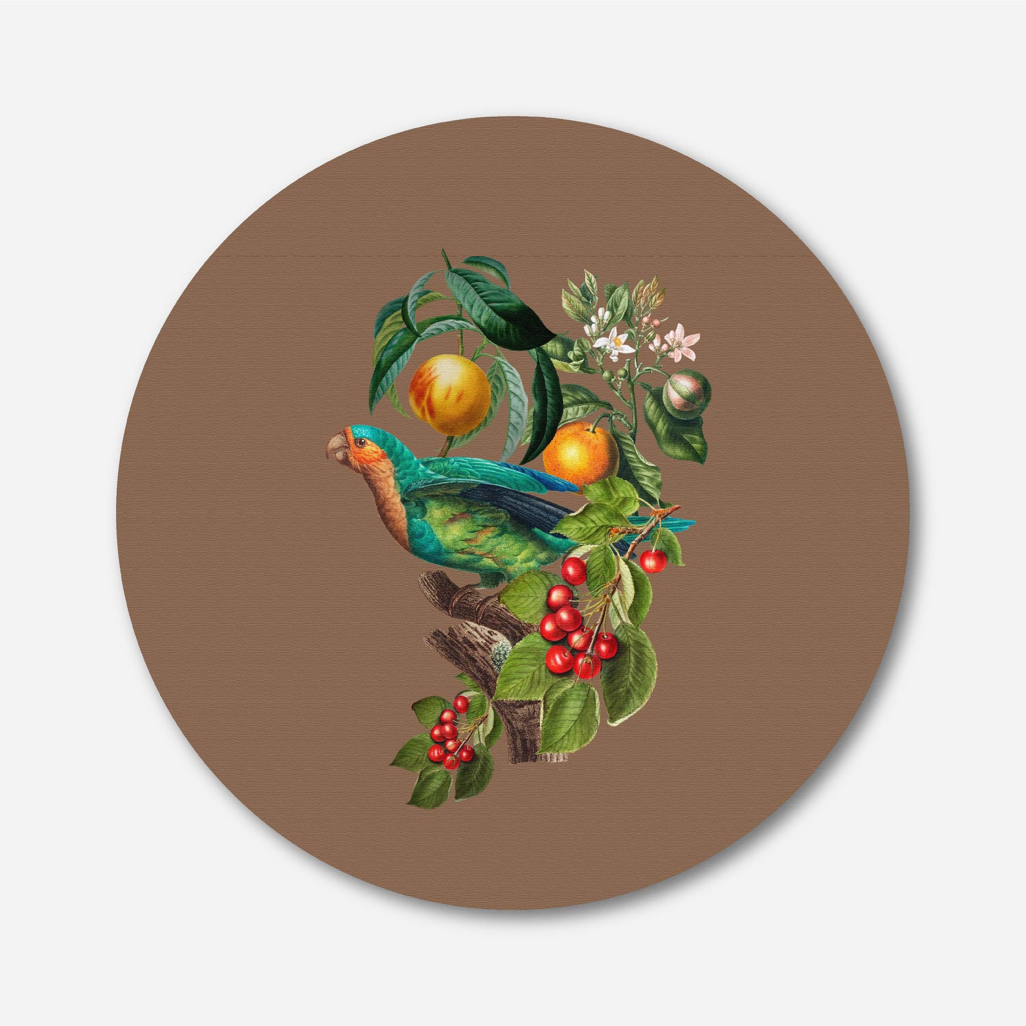 Jungle Parrot Bird Painting Circular Canvas Frame Circular Canvas Frame Premium Wall Art Canvas by MeriDeewar