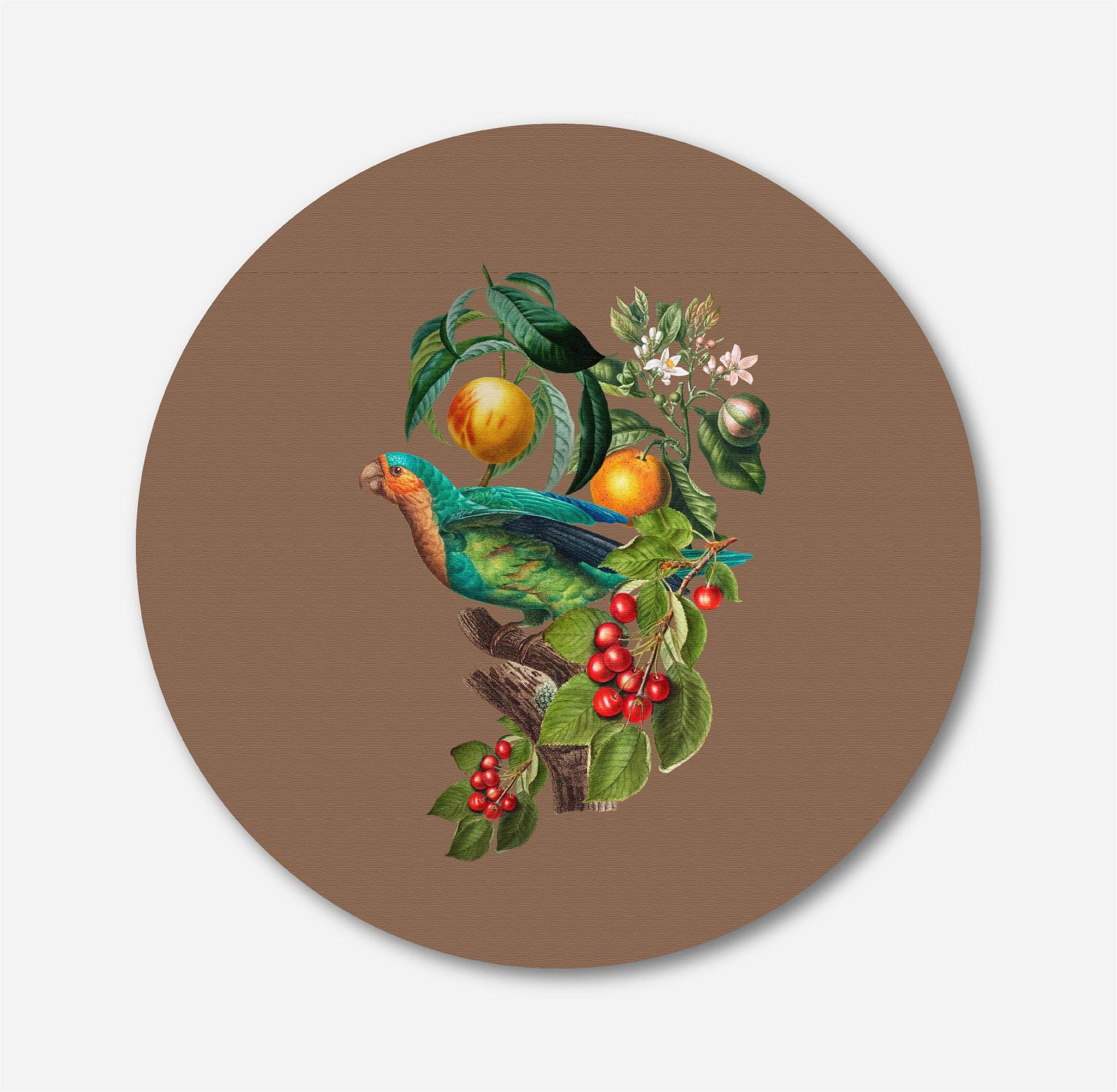 Jungle Parrot Bird Painting Circular Canvas Frame Circular Canvas Frame Premium Wall Art Canvas by MeriDeewar
