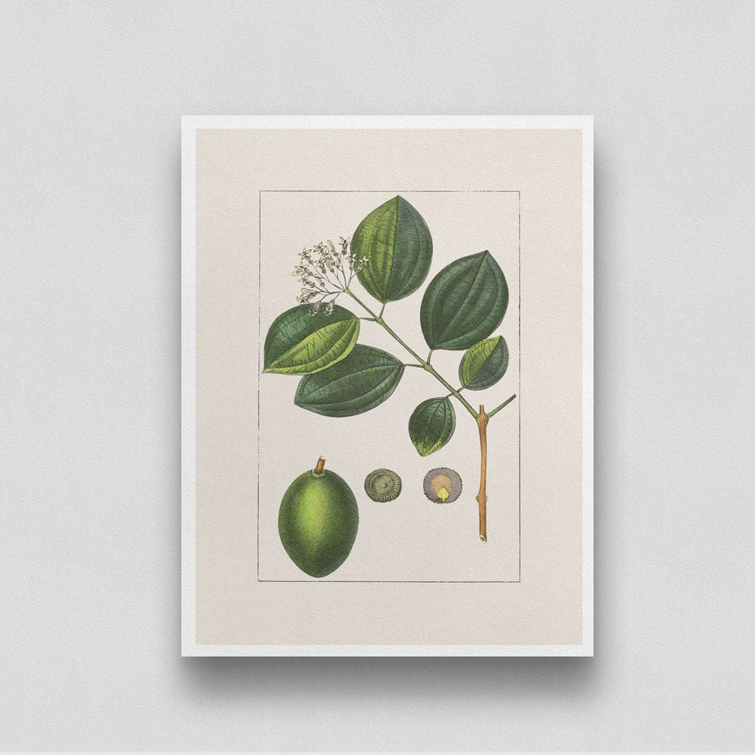 Lime Branch Poster 3 : 4 Vertical New Premium Wall Art Canvas by MeriDeewar
