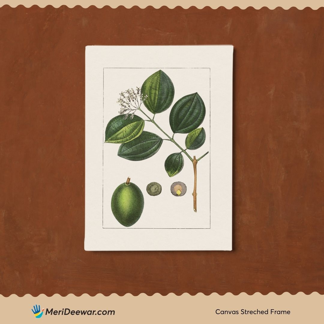 Lime Branch Poster 3 : 4 Vertical New Premium Wall Art Canvas by MeriDeewar