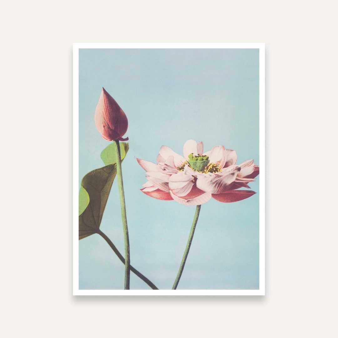 Lotus Flower Painting for Living Room | Spiritual Floral Wall Art | Giclée Print 3 : 4 Vertical Premium Wall Art Canvas by MeriDeewar