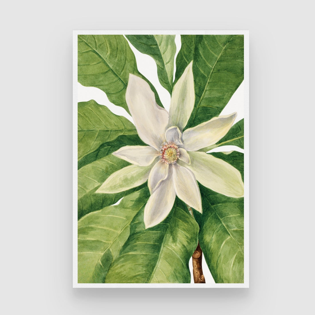 Lotus Serenity – Ivory Botanical Wall Art Print 2 : 3 Vertical Premium Wall Art Canvas by MeriDeewar