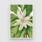 Lotus Serenity – Ivory Botanical Wall Art Print 2 : 3 Vertical Premium Wall Art Canvas by MeriDeewar