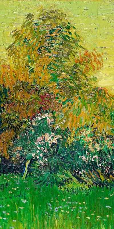 Van Gogh