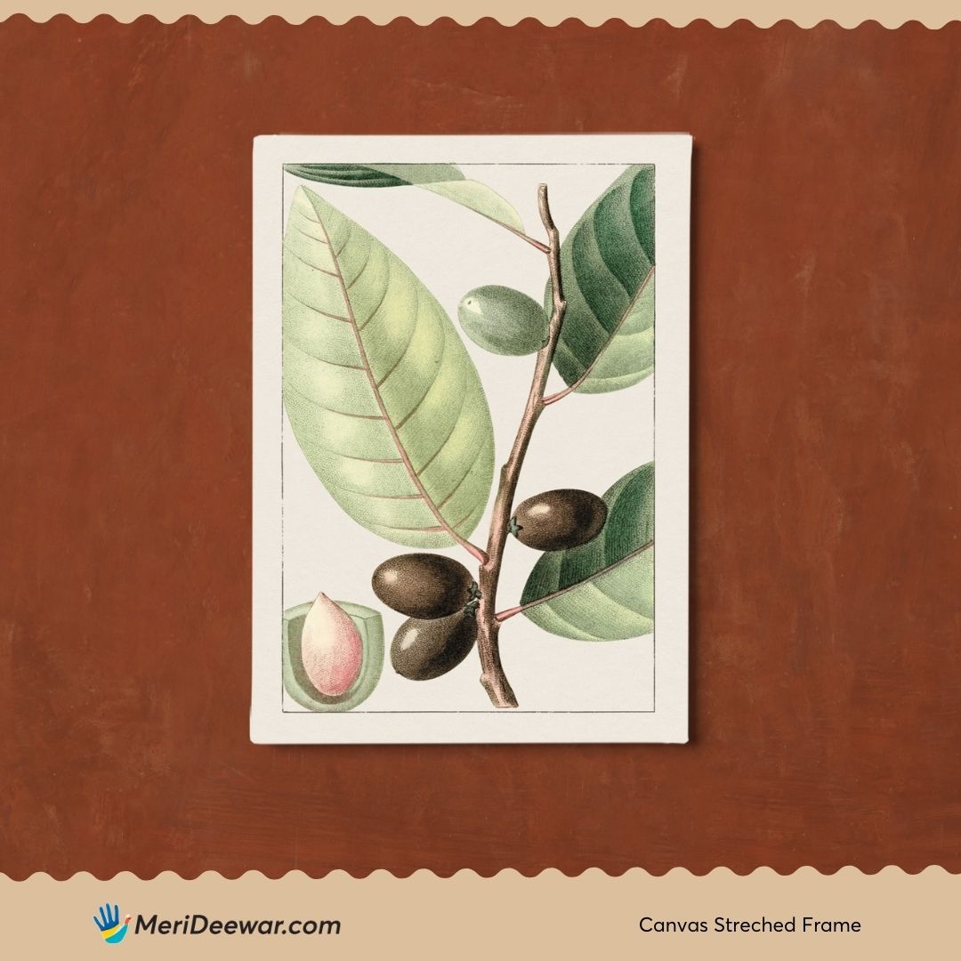 Olive Branch of Tree 3 : 4 Vertical New Premium Wall Art Canvas by MeriDeewar