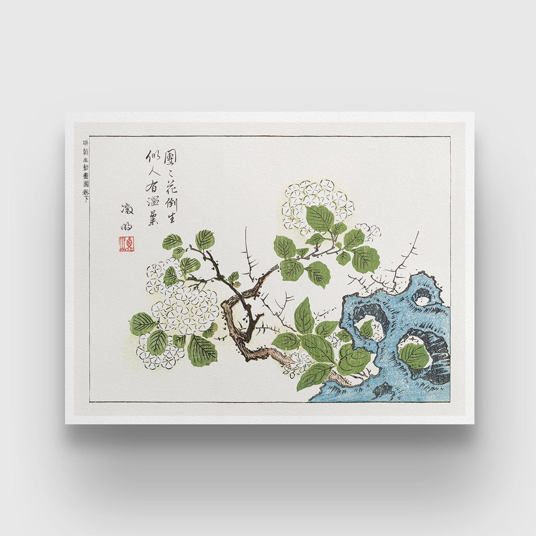 Ooka Shunboku Botanical 3 : 4 Horizontal New Premium Wall Art Canvas by MeriDeewar