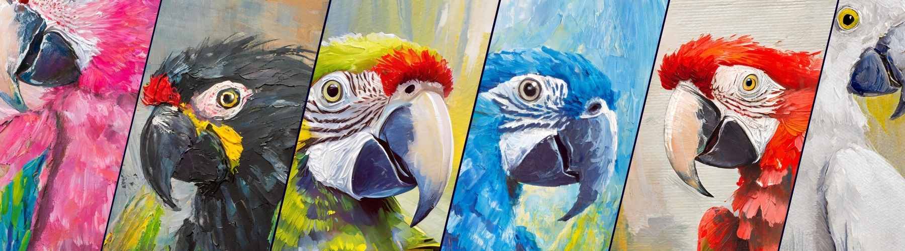 Parrot