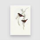Peaceful Birds on Branch Canvas - Artistic Wall Decor - MeriDeewar 2 : 3 Vertical Premium Wall Art Canvas by MeriDeewar