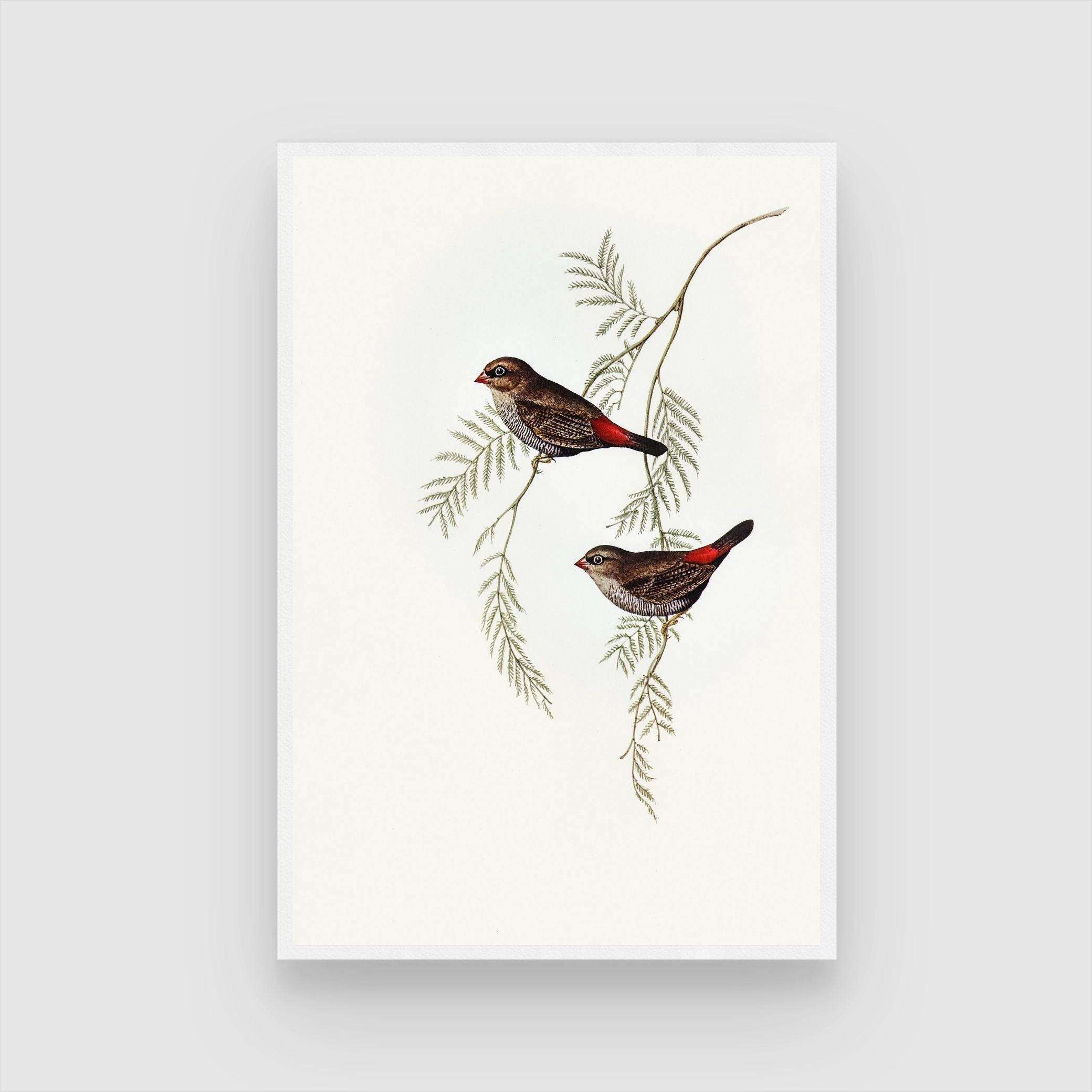 Peaceful Birds on Branch Canvas - Artistic Wall Decor - MeriDeewar 2 : 3 Vertical Premium Wall Art Canvas by MeriDeewar