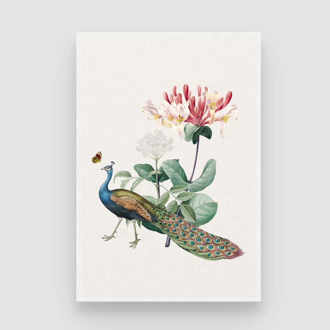 Peacock & Honeysuckle — Botanical Peacock Canvas Print 2 : 3 Vertical Premium Wall Art Canvas by MeriDeewar