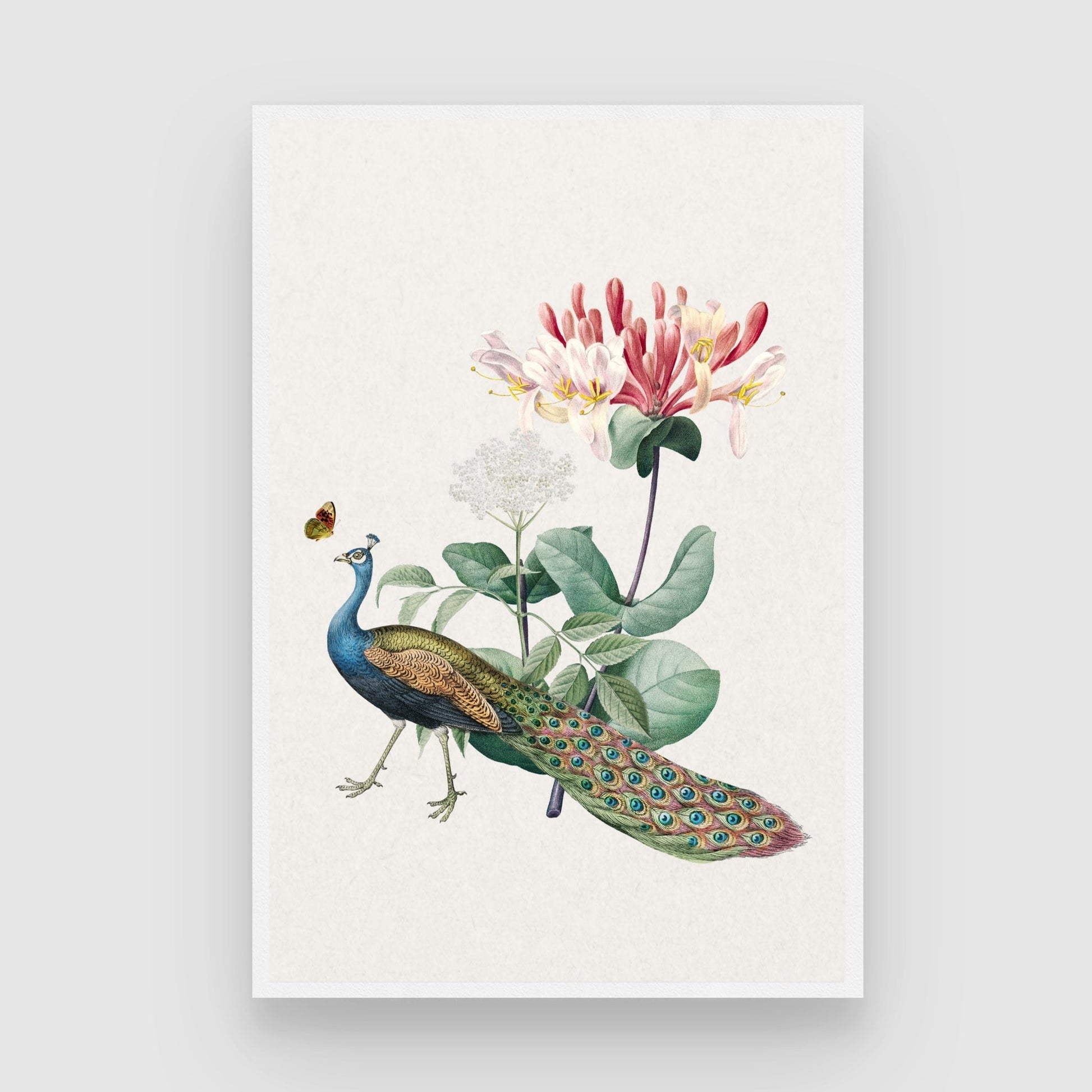Peacock & Honeysuckle — Botanical Peacock Canvas Print 2 : 3 Vertical Premium Wall Art Canvas by MeriDeewar