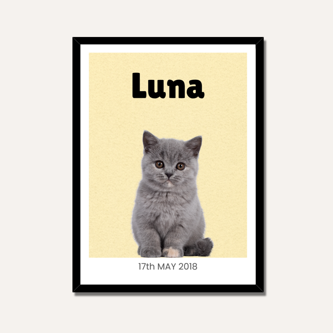 Personalized Cat Portrait Photo Frame | Custom Minimalist Pet Wall Art custom Premium Wall Art Canvas by MeriDeewar