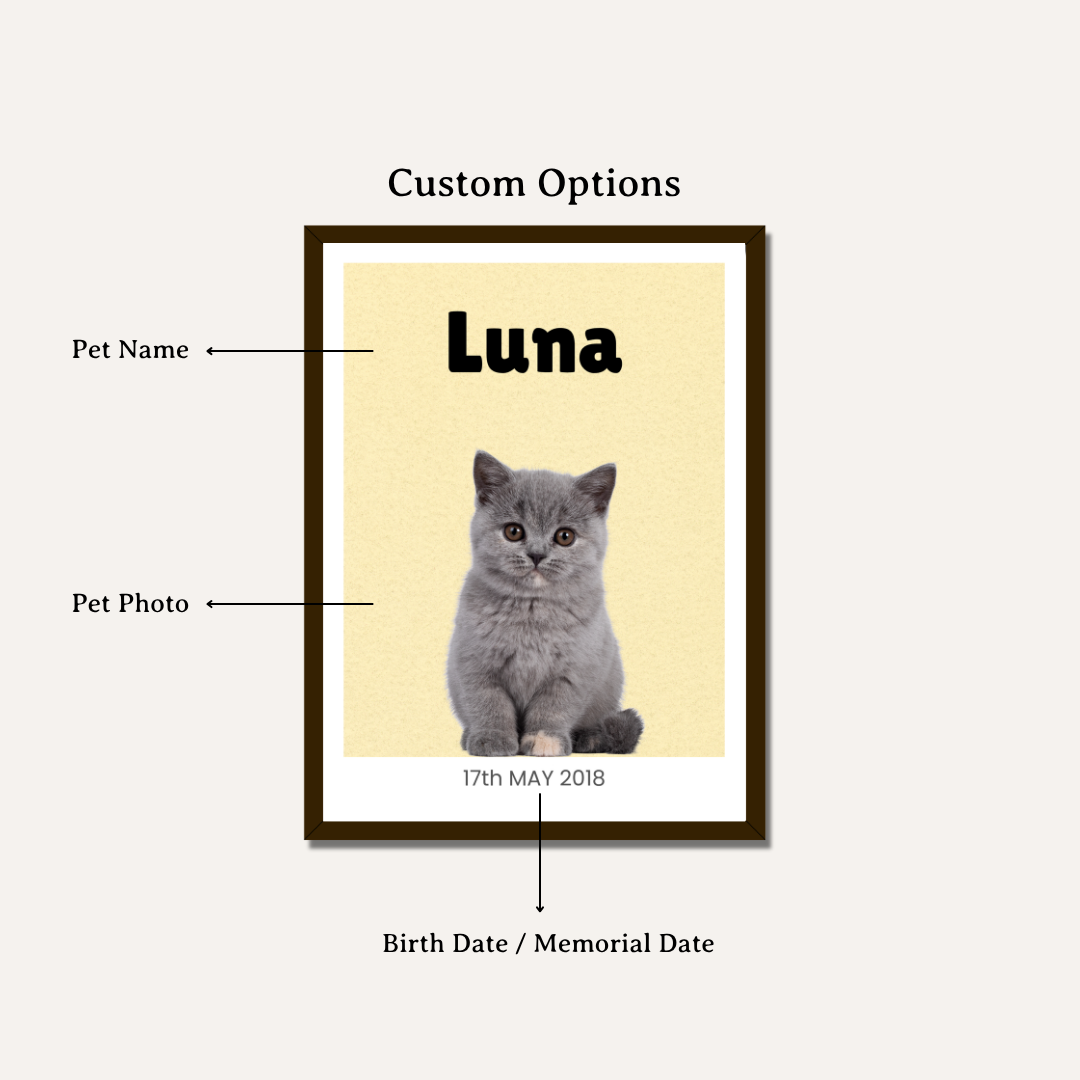 Personalized Cat Portrait Photo Frame | Custom Minimalist Pet Wall Art custom Premium Wall Art Canvas by MeriDeewar
