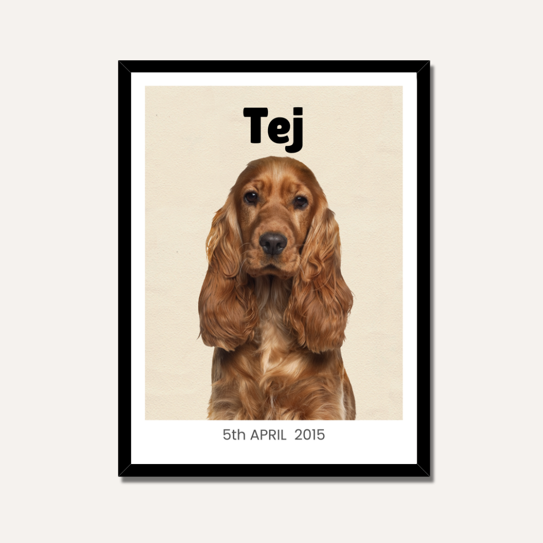 Personalized Pet Portrait Photo Frame | Custom Minimalist Pet Art custom Premium Wall Art Canvas by MeriDeewar